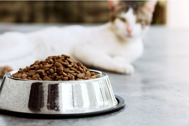 寵物飼料行業(yè)解決方案